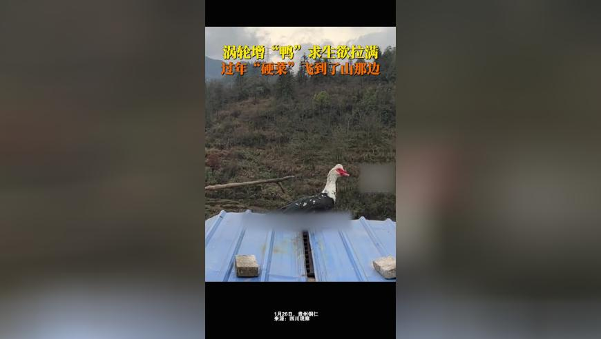当事人回应质问乌尔善,2025年香港资料精准开码结果,广泛的解释落实方法分析_高清版V6.68