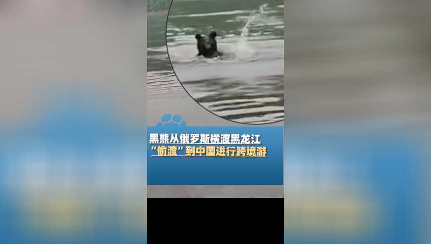 香港街头偶遇梁朝伟,2o24年澳门开奖结果香港王中王,精准解释落实及其象征意义_精英版V11.42